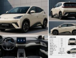 BYD Atto 1 / Seagull Generasi Baru Meluncur dengan Bodi Lebih Besar